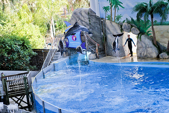 Six Flags Discovery Kingdom-42