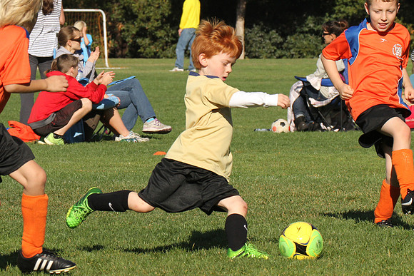 Soccer Nov 2013 (1 of 1)