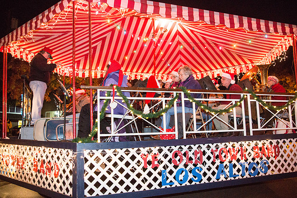 Los Altos Festival of Lights-12