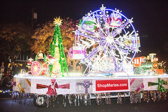 Los Altos Festival of Lights-10