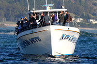 Mavericks 2013