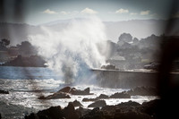 Pacific Grove Wave-1