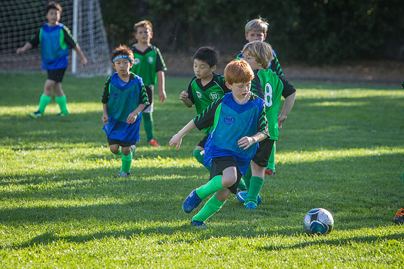 U10 Soccer Green Hornets-5