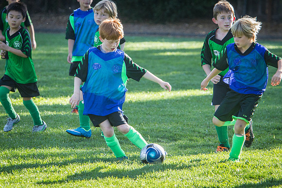 U10 Soccer Green Hornets-6