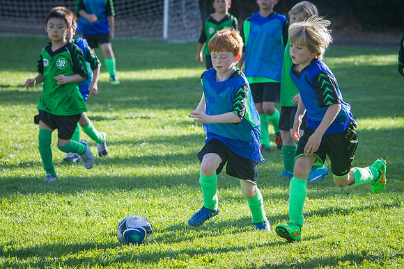 U10 Soccer Green Hornets-7