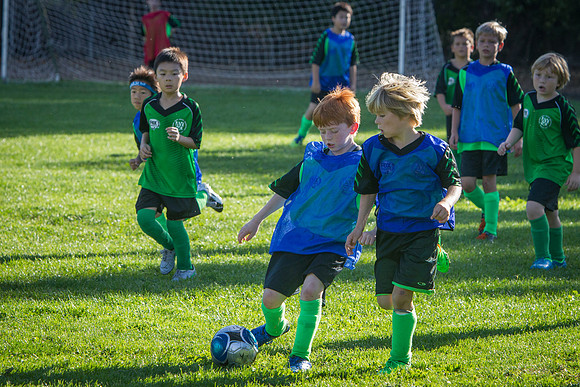 U10 Soccer Green Hornets-8