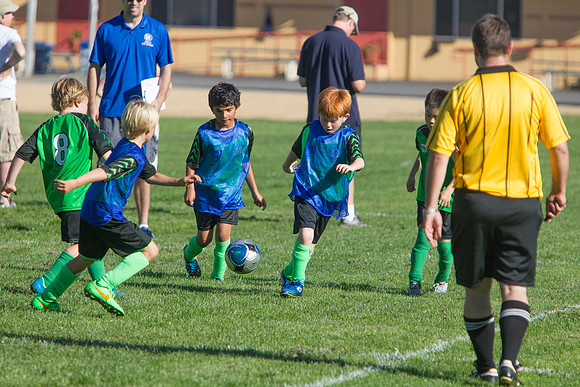U10 Soccer Green Hornets-10