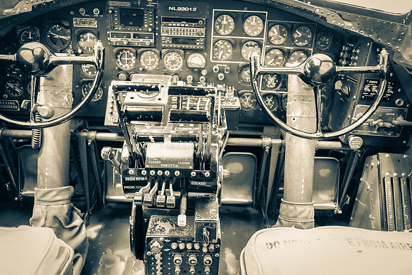 Wings of Freedom 2015 Black & White-11