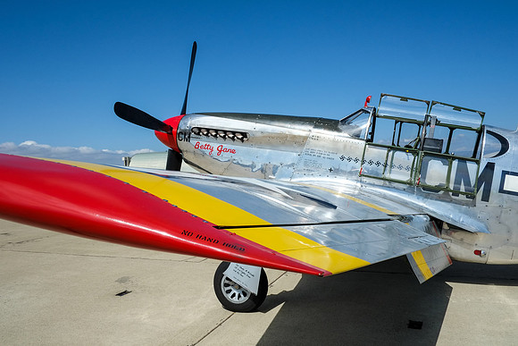 Wings of Freedom 2015-22