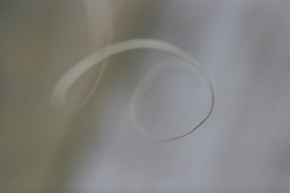 Abstract Curves