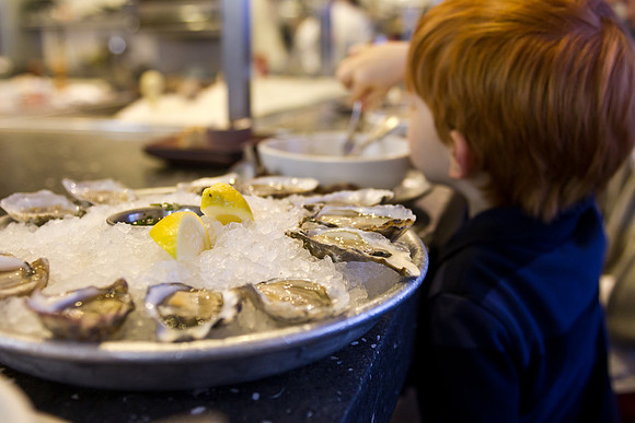 Hog Island Oysters