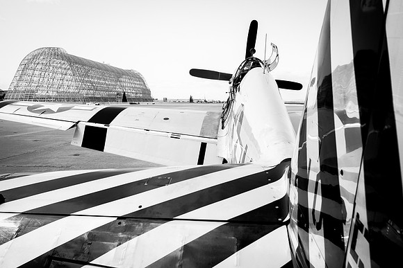 Wings of Freedom 2015-1