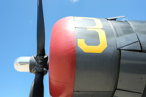 Wings of Freedom 2015-6