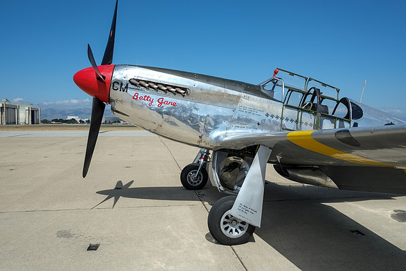 Wings of Freedom 2015-21