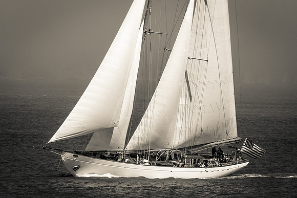 America's Cup 2013 (1 of 1)