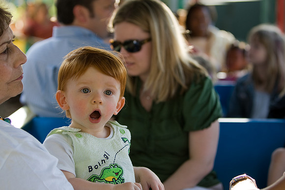 Nut Tree Train Ride