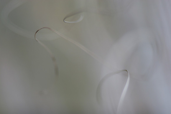 Abstract Curves