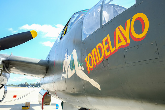 Wings of Freedom 2015-2