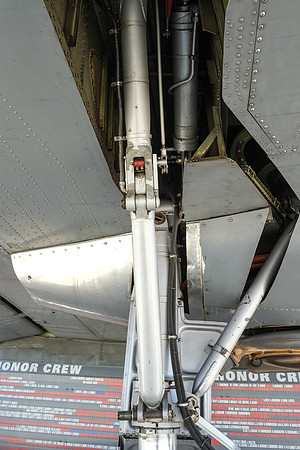 Wings of Freedom 2015-11