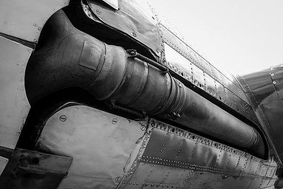 Wings of Freedom 2015 Black & White-6