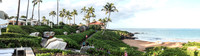 Maui New Years 2015-4