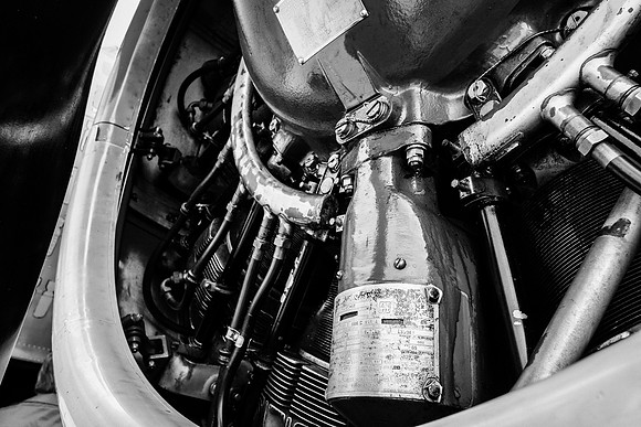Wings of Freedom 2015 Black & White-7