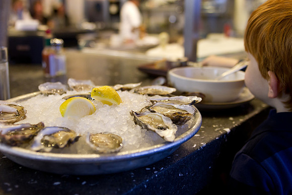 Hog Island Oysters