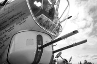 Wings of Freedom 2015 Black & White-2