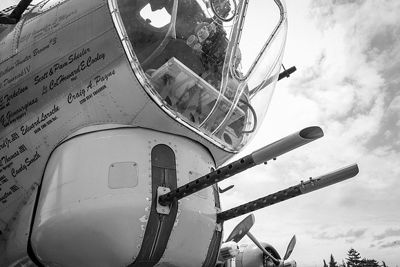Wings of Freedom 2015 Black & White-2