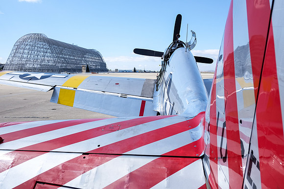 Wings of Freedom 2015-30