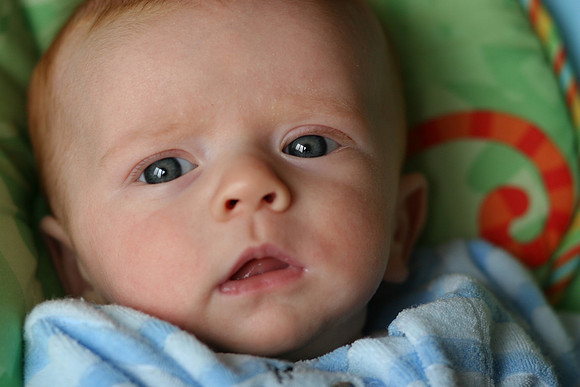 Jack Ryan Bucich