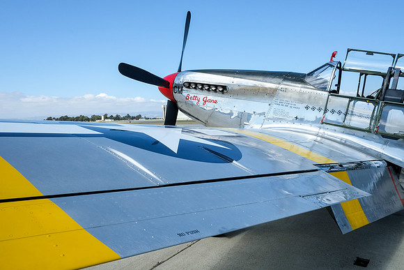 Wings of Freedom 2015-23