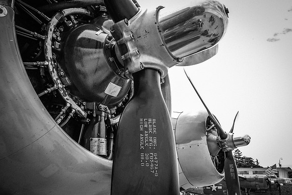 Wings of Freedom 2015 Black & White-10