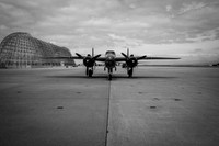Wings of Freedom 2015 Black & White-1