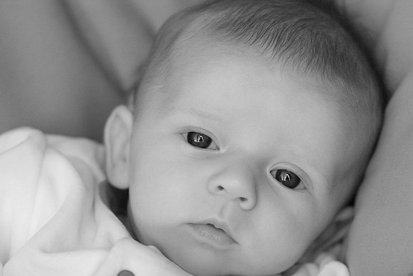 Jack Ryan Bucich