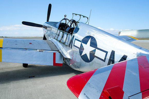 Wings of Freedom 2015-25