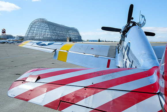 Wings of Freedom 2015-27