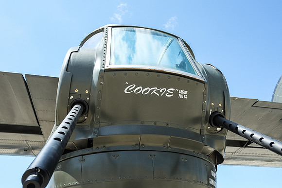Wings of Freedom 2015-7