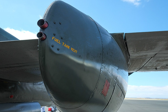 Wings of Freedom 2015-5