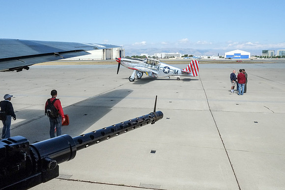 Wings of Freedom 2015-16