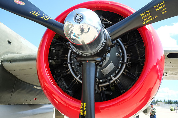 Wings of Freedom 2015-1