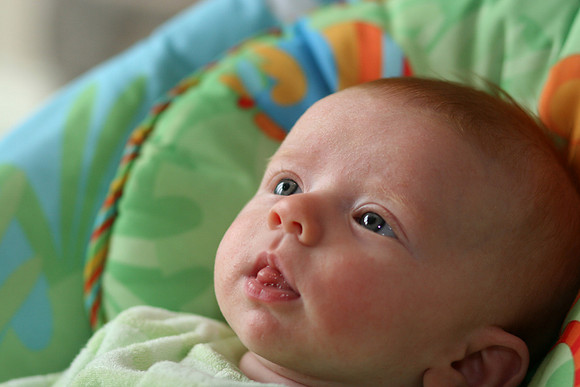 Jack Ryan Bucich
