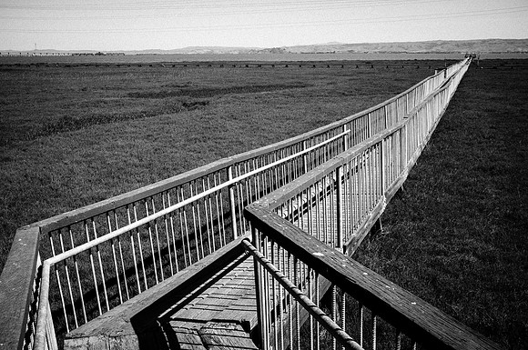 Baylands walkway-1