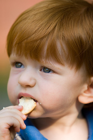 Jack Eating a Cracker