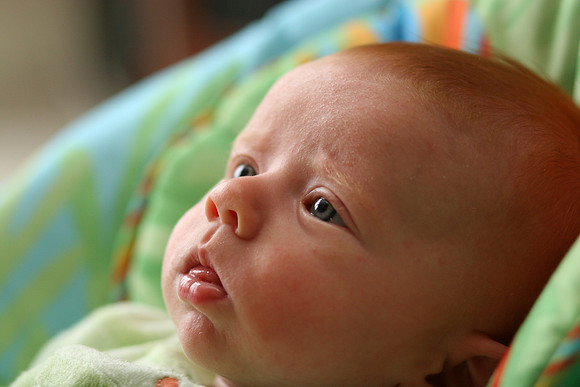 Jack Ryan Bucich