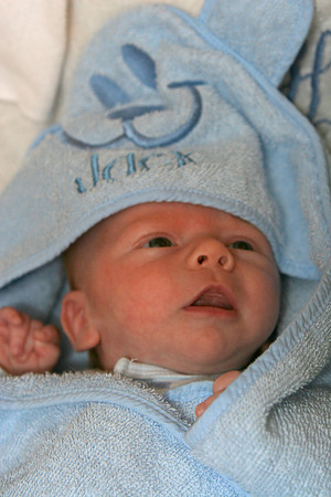 Jack Ryan Bucich