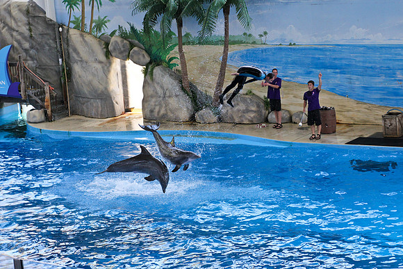 Six Flags Discovery Kingdom-39