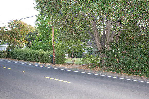 300 Los Altos Remodel-322