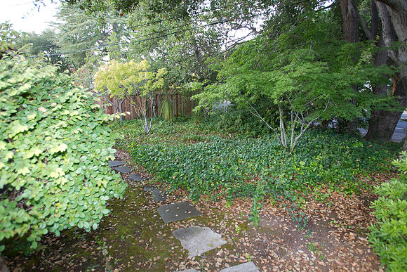 300 Los Altos Remodel-319