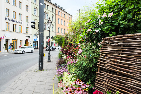 Munich Summer 2015-36